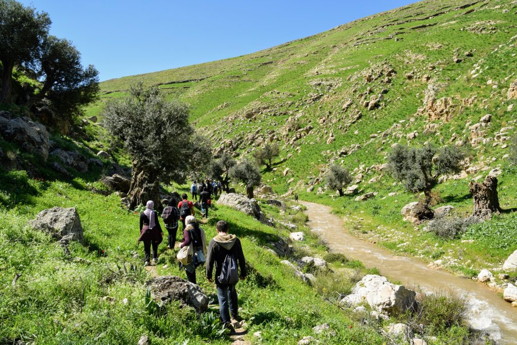 Hikers in the green North of Jordan